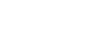 Logo Ness