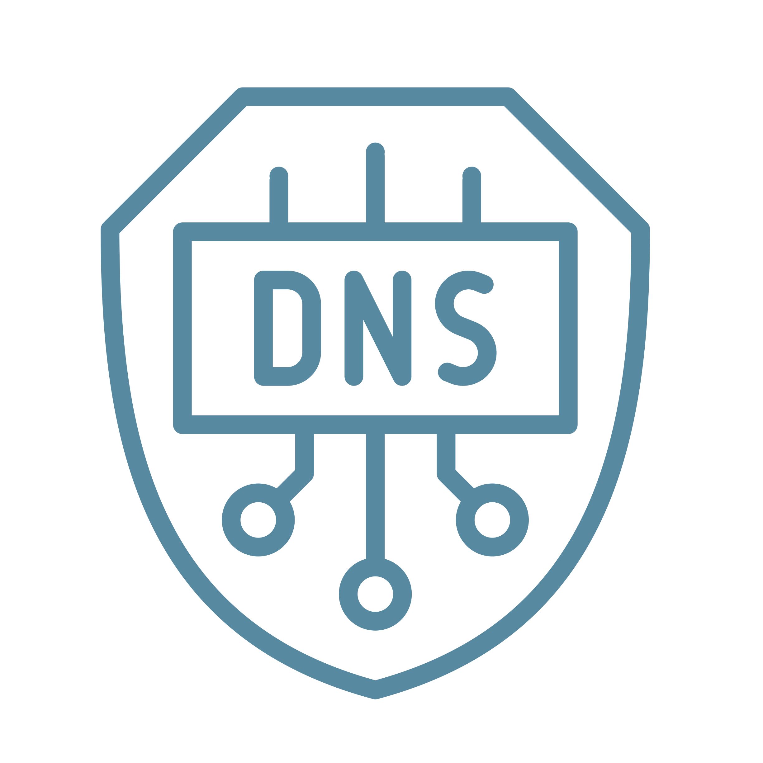 תשתית DNS מוגנת