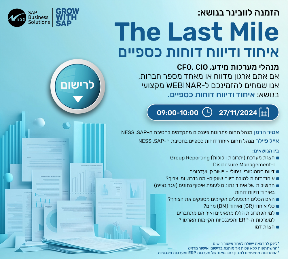 - The Last Mile
איחוד ודיווח דו"חות כספיים